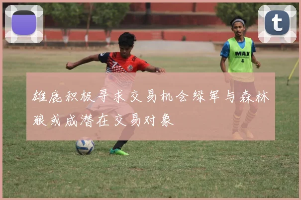 雄鹿积极寻求交易机会绿军与森林狼或成潜在交易对象